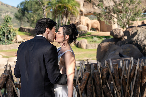 Safari-Park-Mkutano-Elephant-HoffmanPhotoVideo-0097