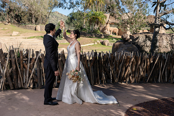 Safari-Park-Mkutano-Elephant-HoffmanPhotoVideo-0096