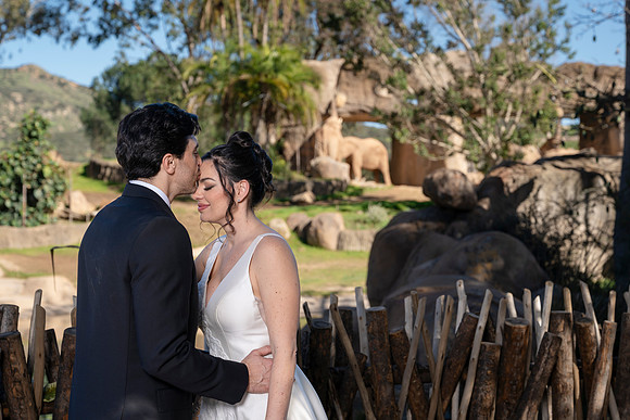 Safari-Park-Mkutano-Elephant-HoffmanPhotoVideo-0102
