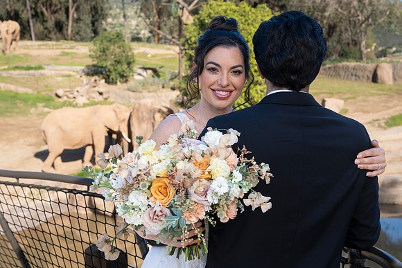 Safari-Park-Mkutano-Elephant-HoffmanPhotoVideo-0104