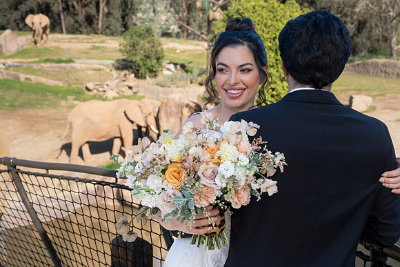 Safari-Park-Mkutano-Elephant-HoffmanPhotoVideo-0105