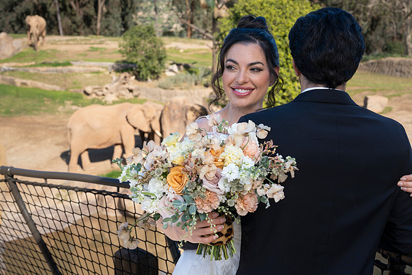 Safari-Park-Mkutano-Elephant-HoffmanPhotoVideo-0106