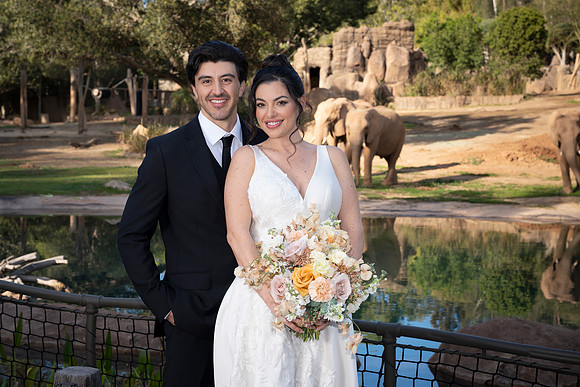 Safari-Park-Mkutano-Elephant-HoffmanPhotoVideo-0145