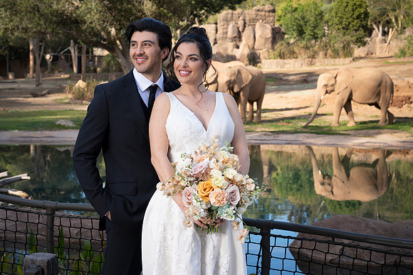 Safari-Park-Mkutano-Elephant-HoffmanPhotoVideo-0146