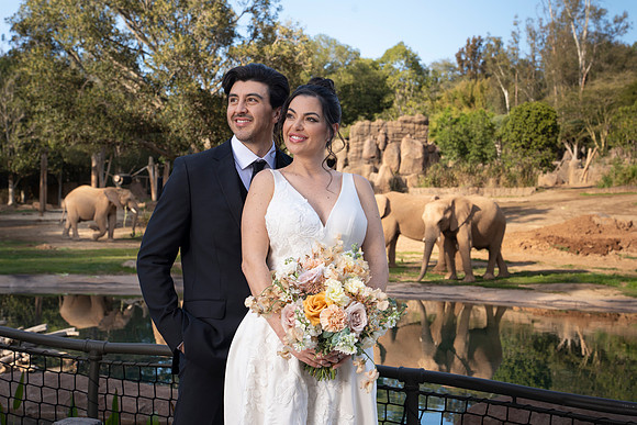 Safari-Park-Mkutano-Elephant-HoffmanPhotoVideo-0149
