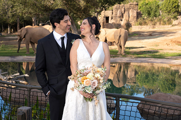 Safari-Park-Mkutano-Elephant-HoffmanPhotoVideo-0150