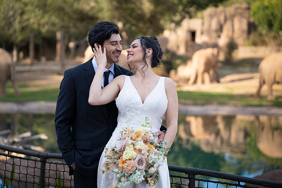 Safari-Park-Mkutano-Elephant-HoffmanPhotoVideo-0152