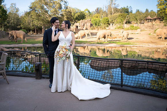Safari-Park-Mkutano-Elephant-HoffmanPhotoVideo-0153