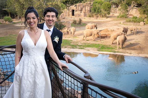 Safari-Park-Mkutano-Elephant-HoffmanPhotoVideo-0156