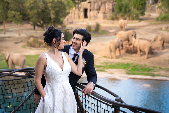 Safari-Park-Mkutano-Elephant-HoffmanPhotoVideo-0161