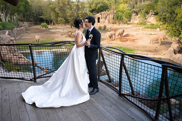 Safari-Park-Mkutano-Elephant-HoffmanPhotoVideo-0163
