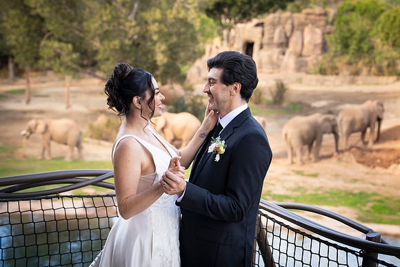 Safari-Park-Mkutano-Elephant-HoffmanPhotoVideo-0165