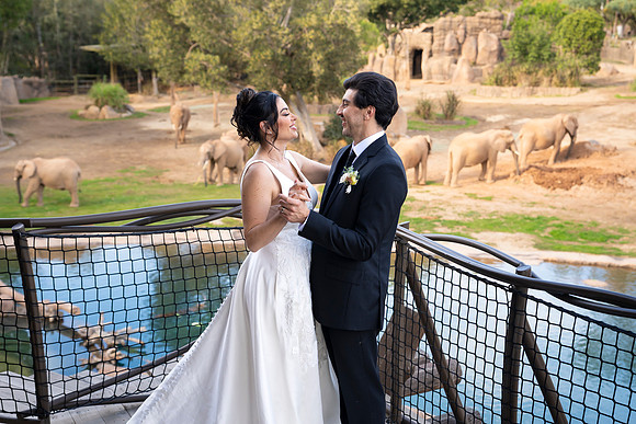 Safari-Park-Mkutano-Elephant-HoffmanPhotoVideo-0166