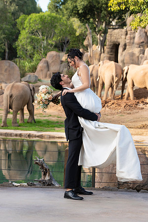 Safari-Park-Mkutano-Elephant-HoffmanPhotoVideo-0168
