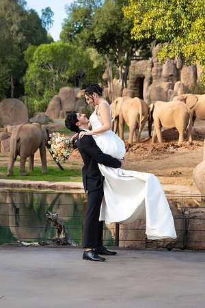 Safari-Park-Mkutano-Elephant-HoffmanPhotoVideo-0169