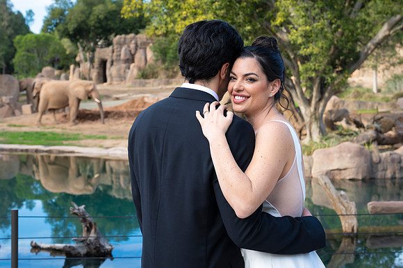 Safari-Park-Mkutano-Elephant-HoffmanPhotoVideo-0180