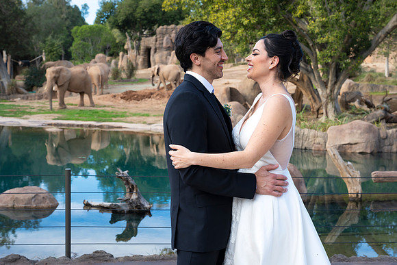 Safari-Park-Mkutano-Elephant-HoffmanPhotoVideo-0188