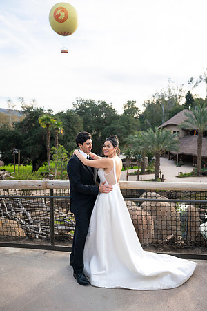 Safari-Park-Mkutano-Elephant-HoffmanPhotoVideo-0203