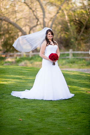 Elizabeth & Chad - HoffmanPhotoVideo-294