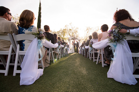 Bess & Braedon Wedding - HoffmanPhotoVideo-481 2