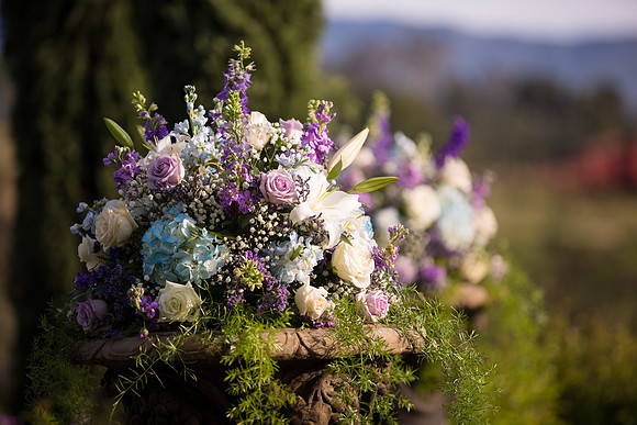 Bess & Braedon Wedding - HoffmanPhotoVideo-306 2