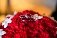 HoffmanPhotoVideo- Io & Shirish-12