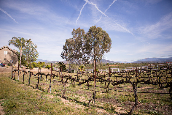 Private residence in Temecula with private attached vineyard