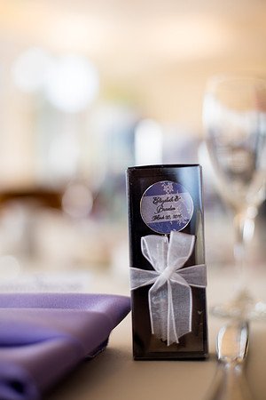 Bess & Braedon Wedding - HoffmanPhotoVideo-296