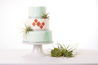 Blog: SDSW Cakes