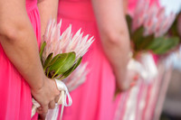 355-Jackie & Luke Wedding-HoffmanPhotoVideo