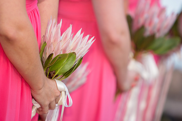 355-Jackie & Luke Wedding-HoffmanPhotoVideo