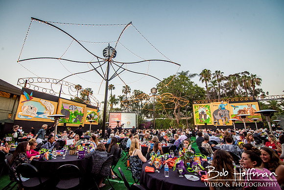 SDHC Zoo Centenniel - HoffmanPhotoVideo-242