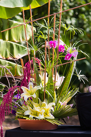 SD Botanical Garden-HoffmanPhotoVideo-3