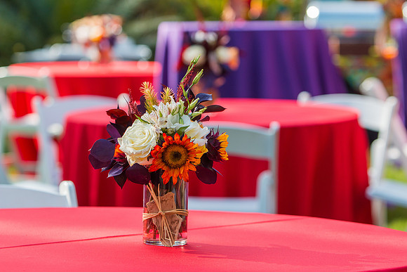 SD Botanical Garden-HoffmanPhotoVideo-15