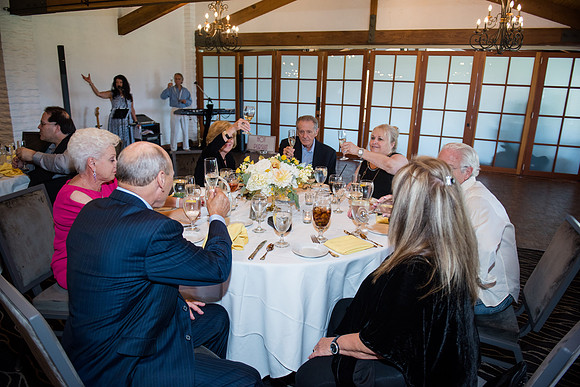 Klein-Schlueter 50th Anniversary - HoffmanPhotoVideo-137